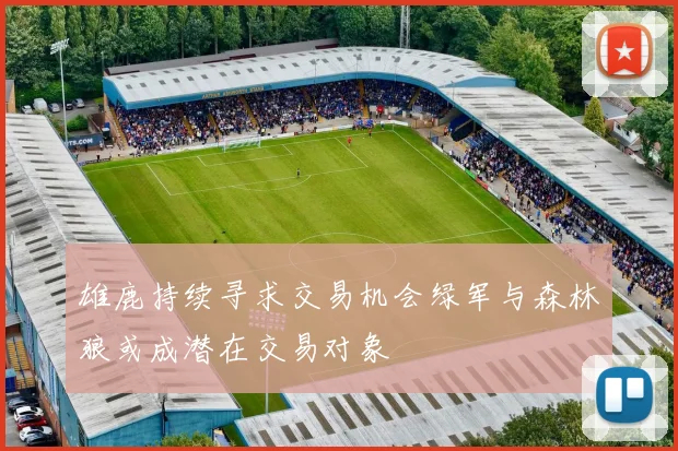 雄鹿持续寻求交易机会绿军与森林狼或成潜在交易对象